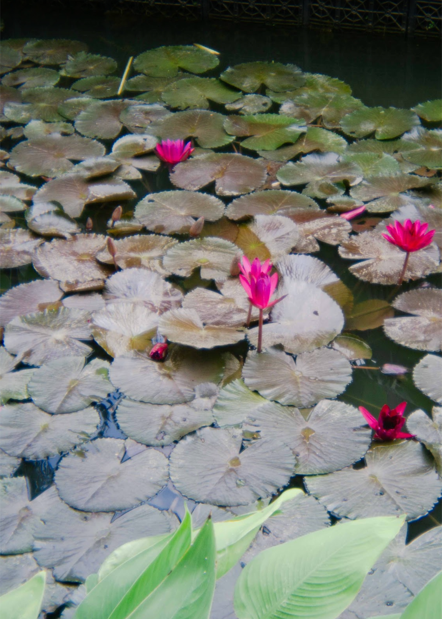 Photography Works photograph 1
