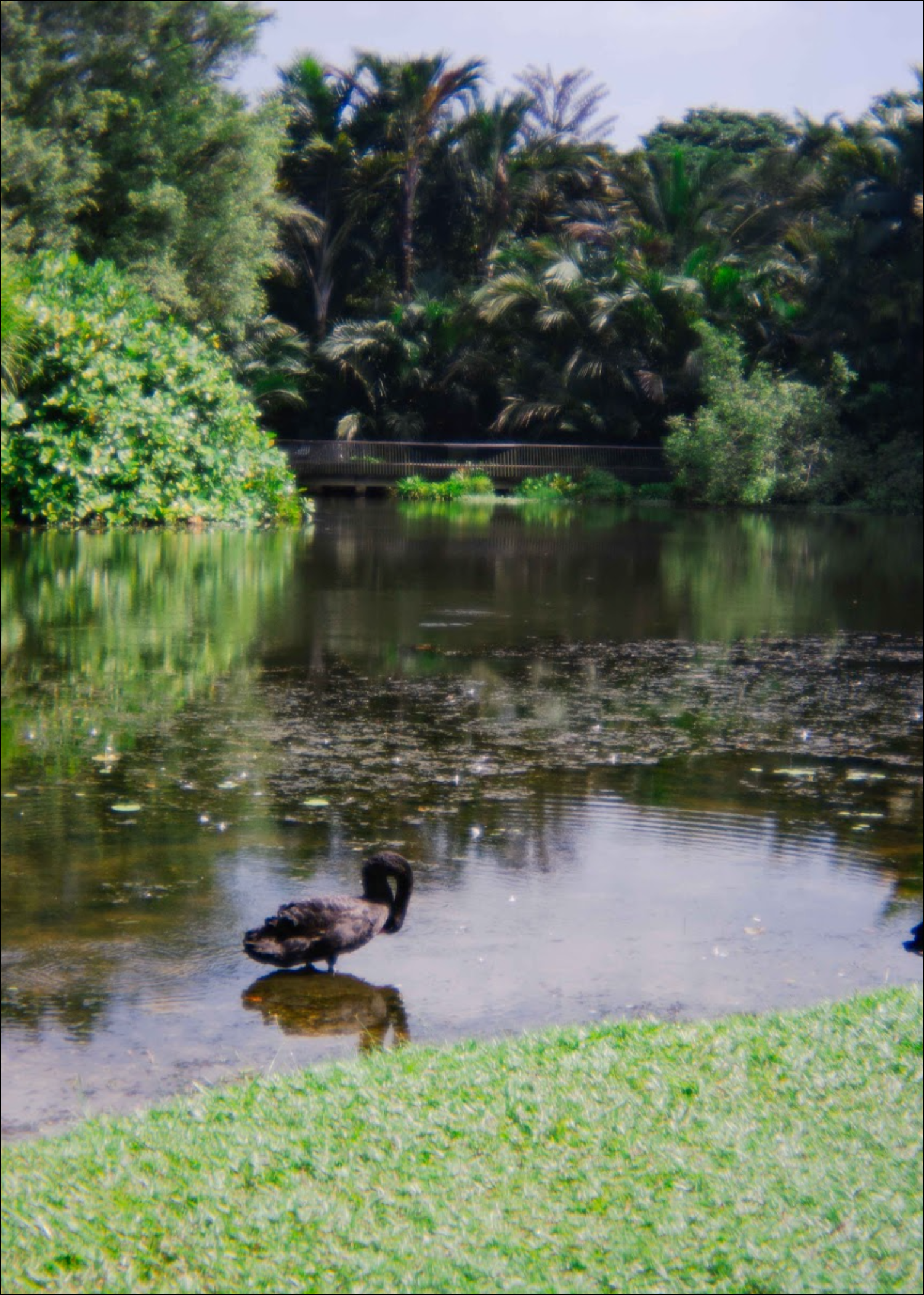Photography Works photograph 1